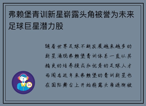 弗赖堡青训新星崭露头角被誉为未来足球巨星潜力股