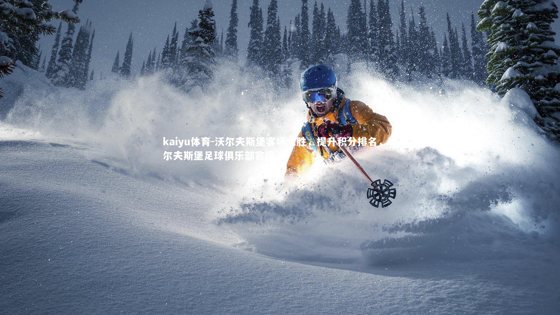 沃尔夫斯堡客场大胜,提升积分排名,沃尔夫斯堡足球俱乐部官网