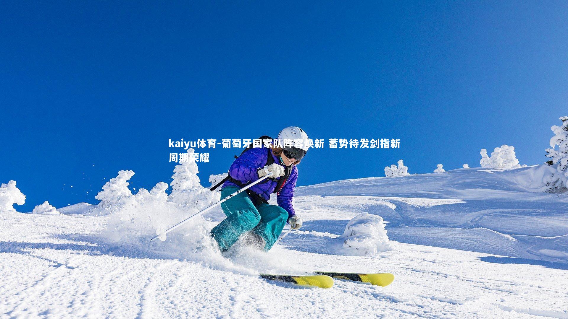 葡萄牙国家队阵容焕新 蓄势待发剑指新周期荣耀