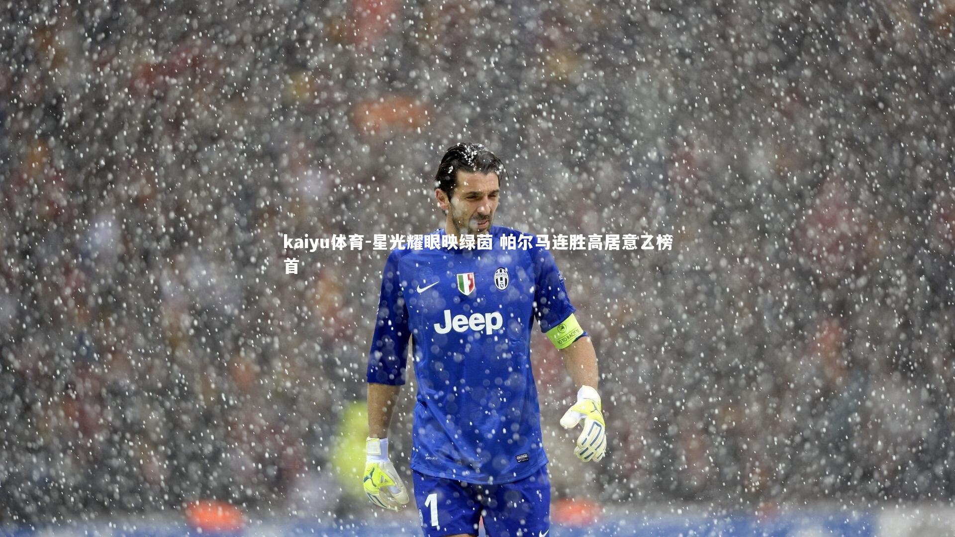 kaiyu体育-星光耀眼映绿茵 帕尔马连胜高居意乙榜首