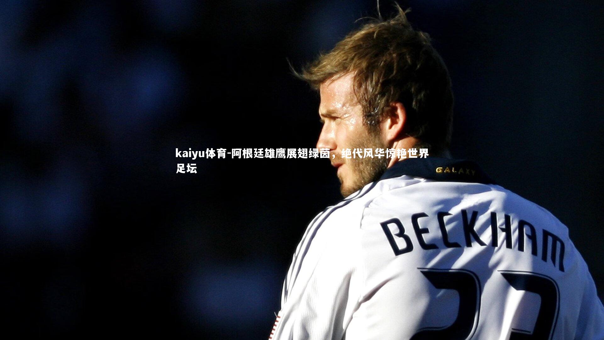 阿根廷雄鹰展翅绿茵,绝代风华惊艳世界足坛