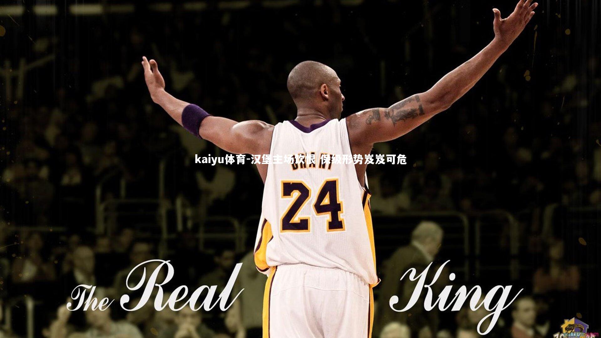 汉堡主场饮恨 保级形势岌岌可危