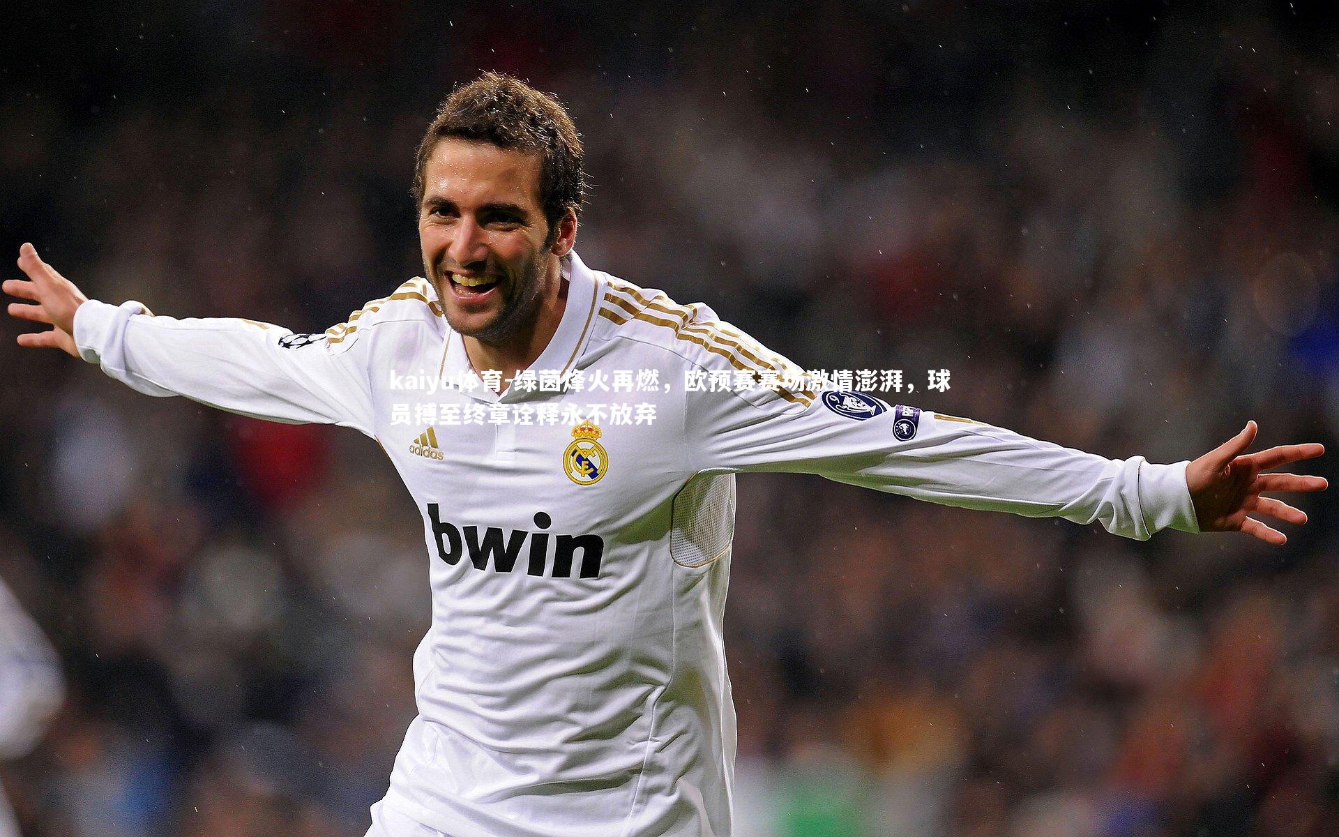 绿茵烽火再燃，欧预赛赛场激情澎湃，球员搏至终章诠释永不放弃